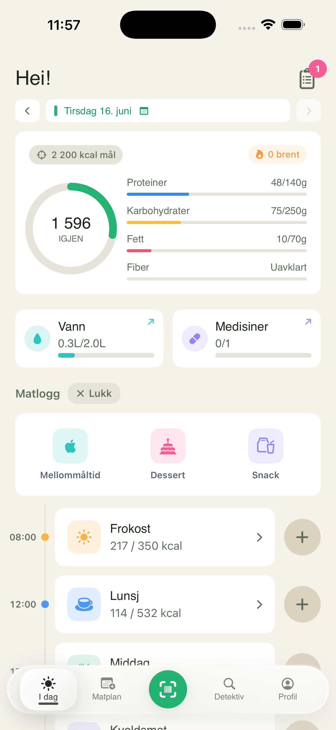 Matlogg dagsoversikt i appen